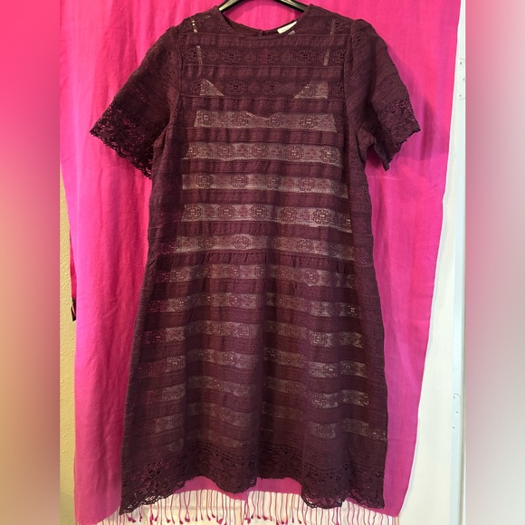 Sundance Dresses & Skirts - Sundance Elegant Lace Dress in Deep Burgundy Size 12 NEW